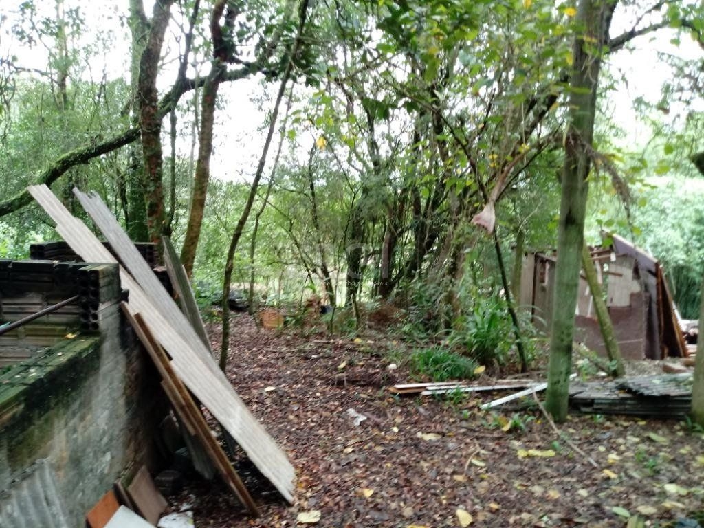 Sítio à venda com 3 quartos, 300m² - Foto 31