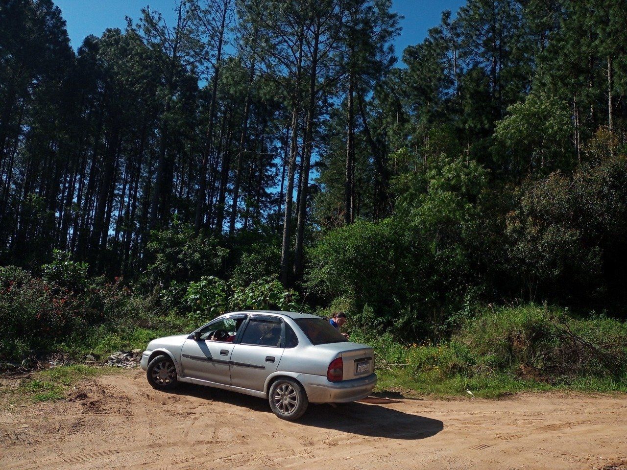 Terreno, 2 hectares - Foto 5