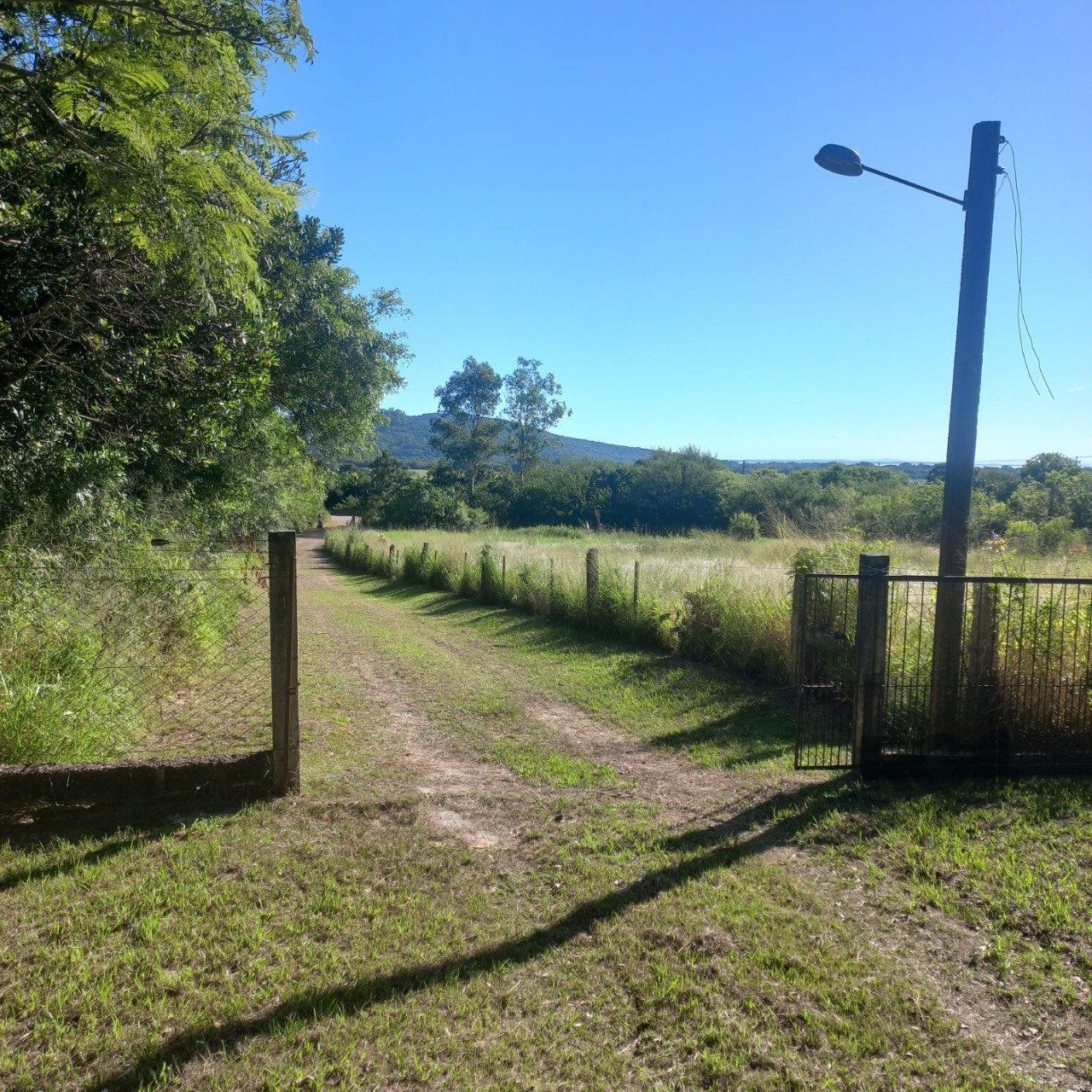 Sítio, 3 quartos, 6 hectares - Foto 3