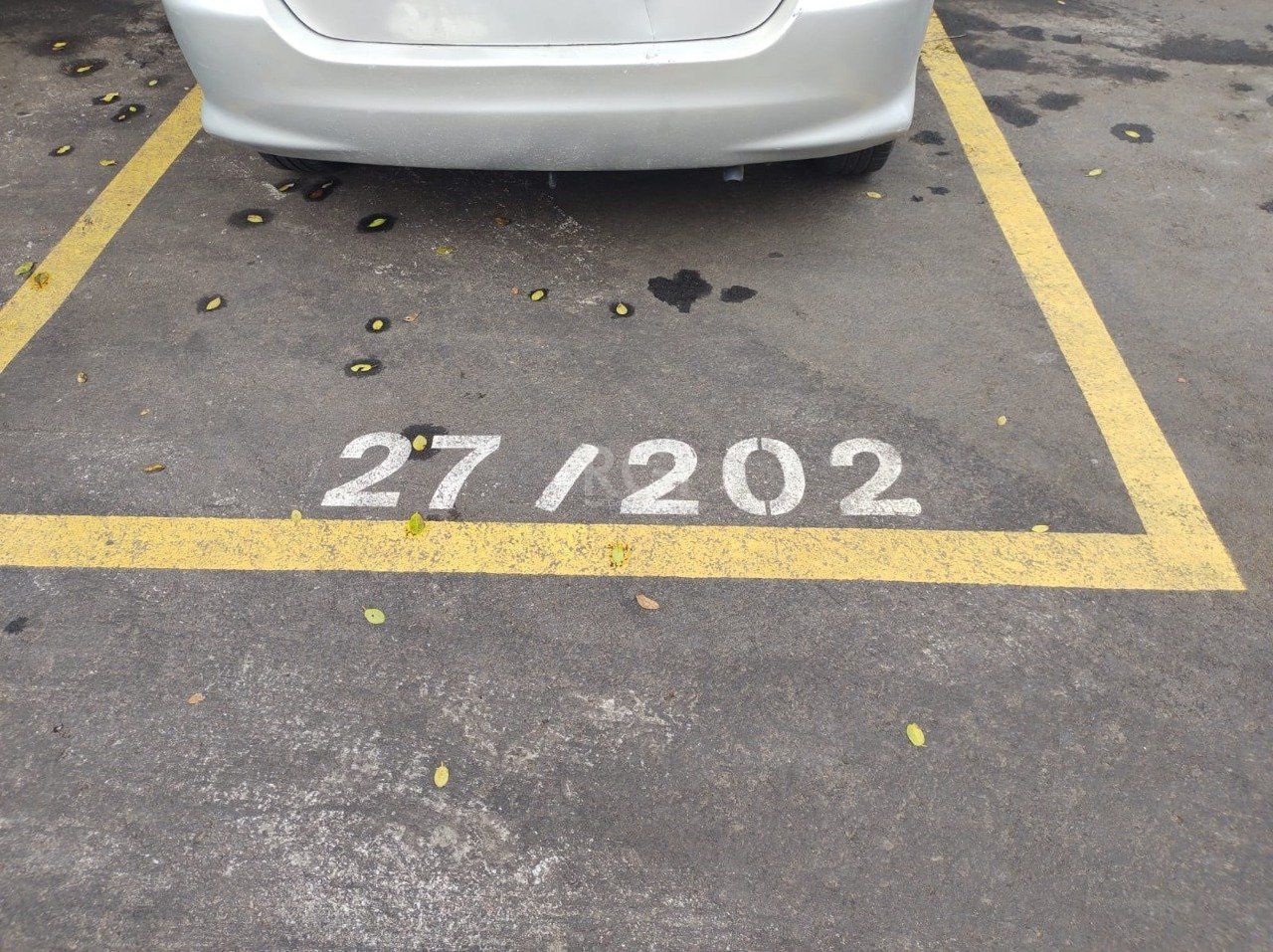 Apartamento, 2 quartos, 40 m² - Foto 24