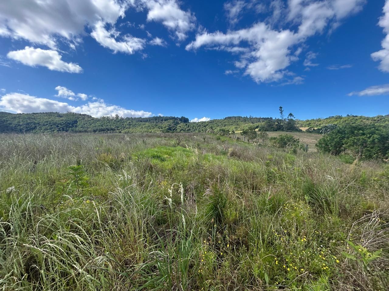 Terreno, 29 hectares - Foto 9