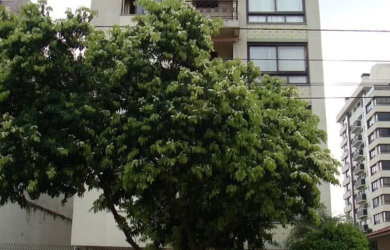 Apartamento, 3 quartos, 112 m² - Foto 15