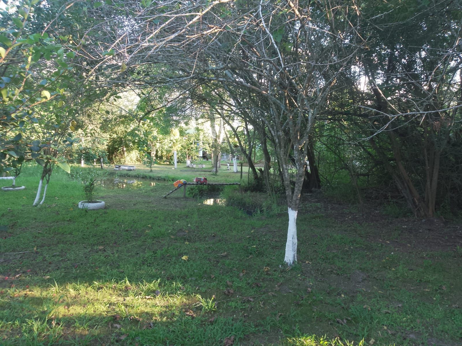 Chácara, 4 quartos, 1000 m² - Foto 49