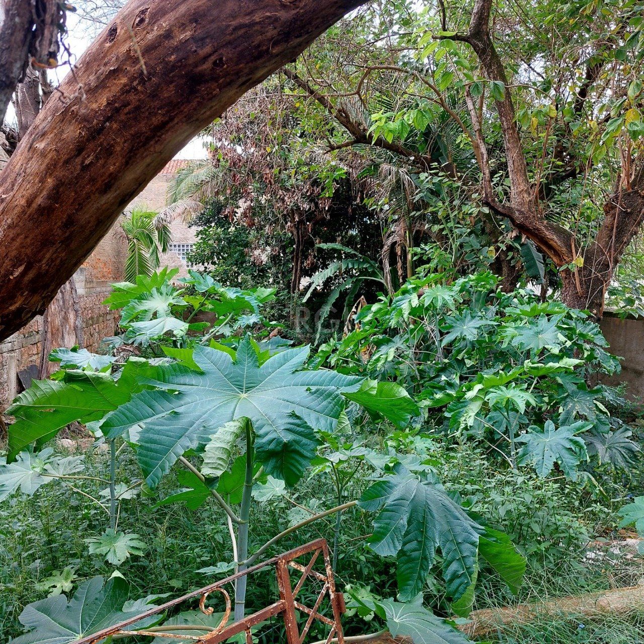 Terreno, 484 m² - Foto 29