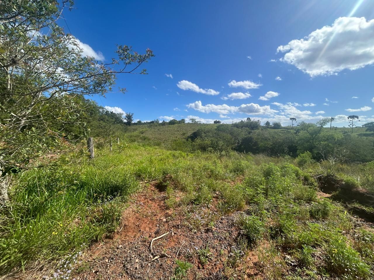 Terreno, 29 hectares - Foto 3