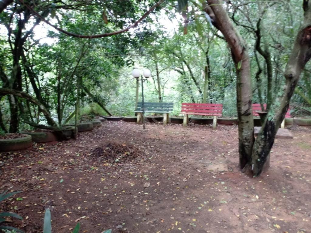 Sítio à venda com 3 quartos, 300m² - Foto 14
