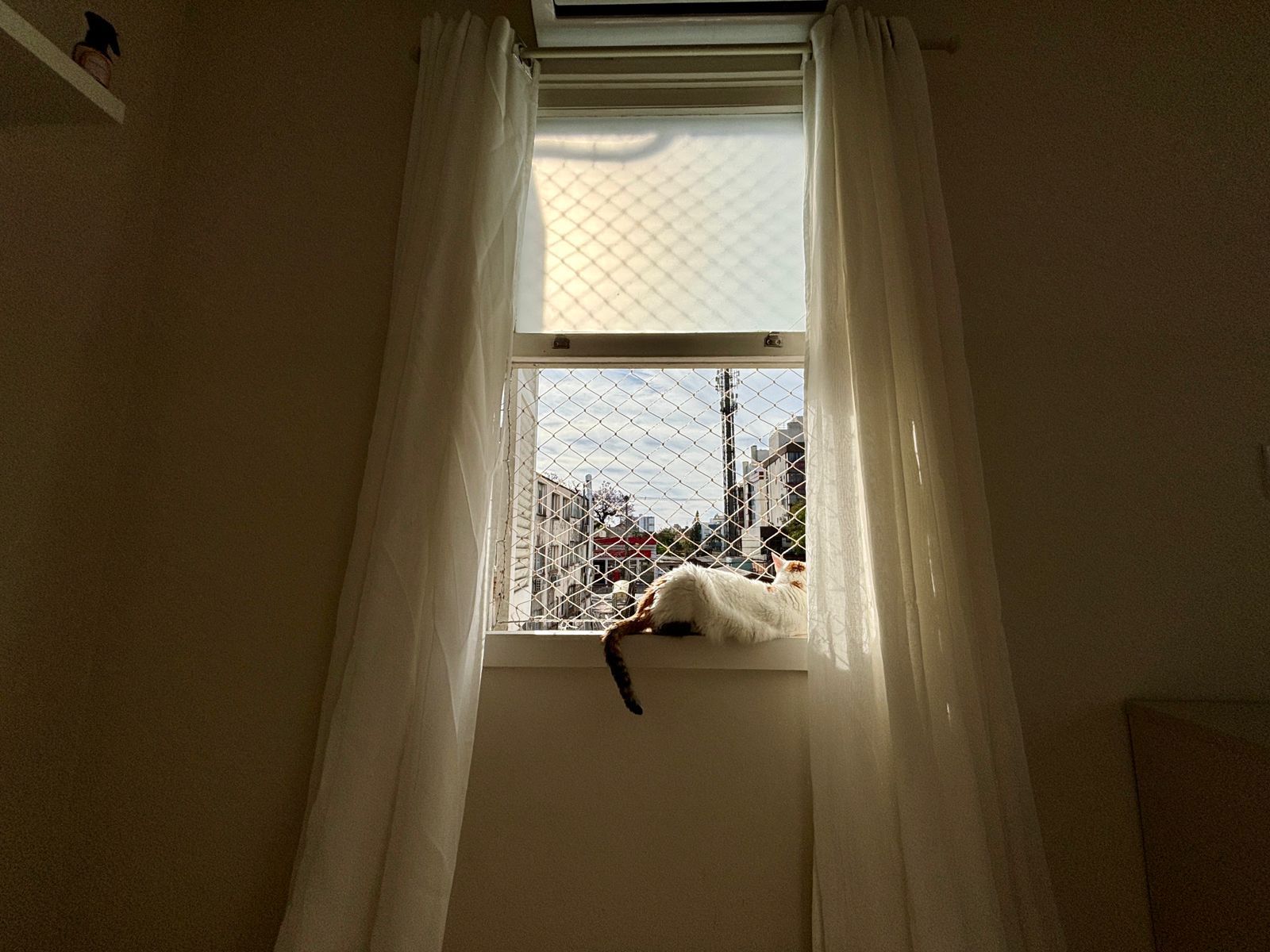 Apartamento, 2 quartos, 78 m² - Foto 18