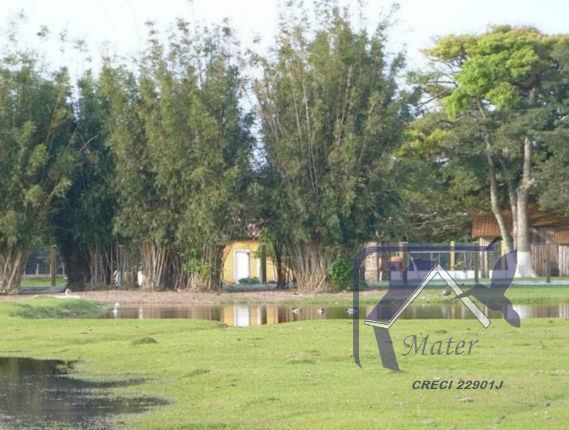 Sítio à venda com 3 quartos, 300m² - Foto 19