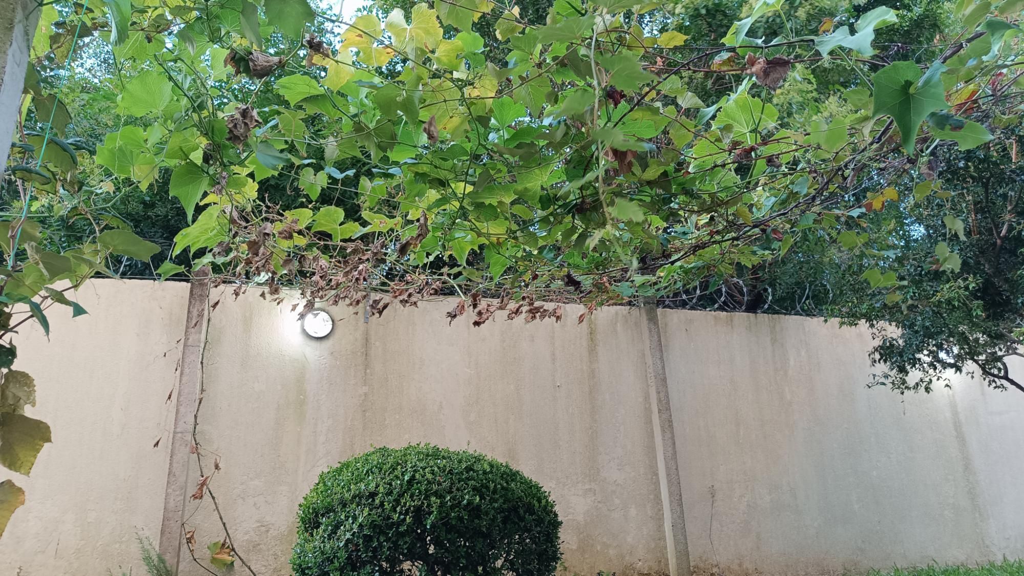 Apartamento, 3 quartos, 100 m² - Foto 58