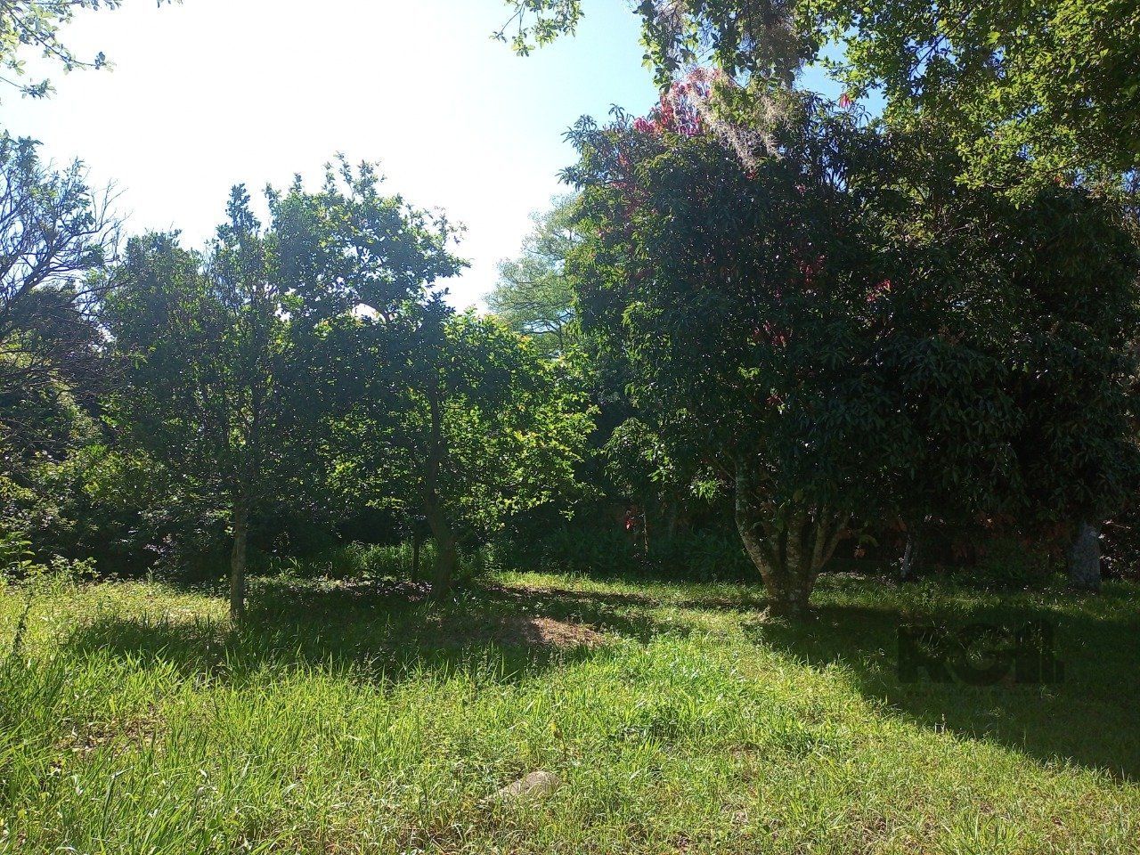 Sítio à venda com 2 quartos, 20010m² - Foto 88