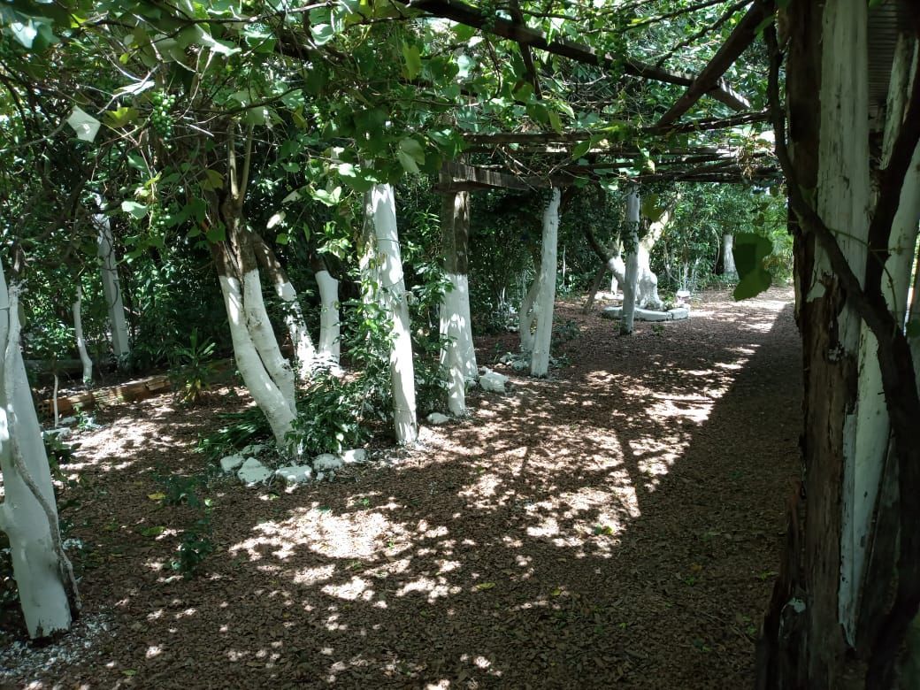 Chácara, 4 quartos, 1000 m² - Foto 39