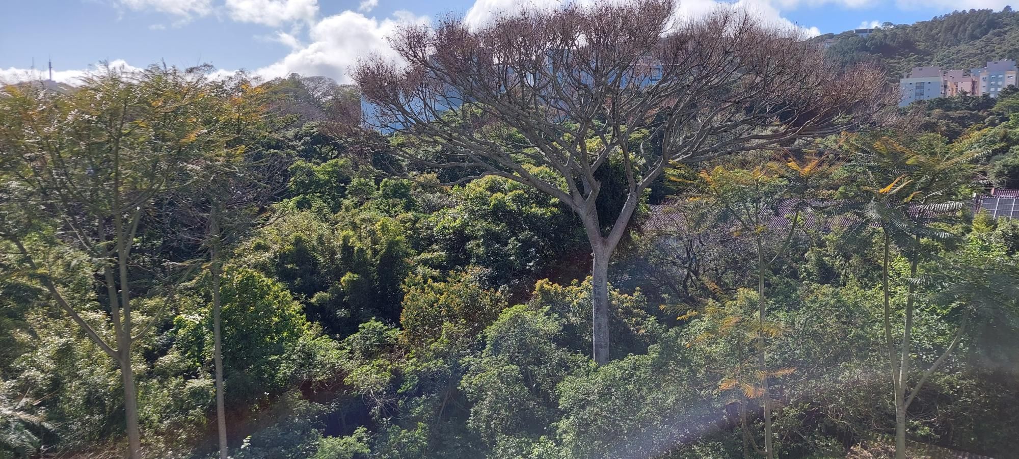 Apartamento, 3 quartos, 114 m² - Foto 18