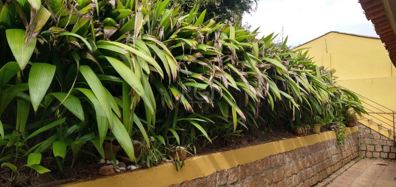 Casa, 3 quartos, 294 m² - Foto 10