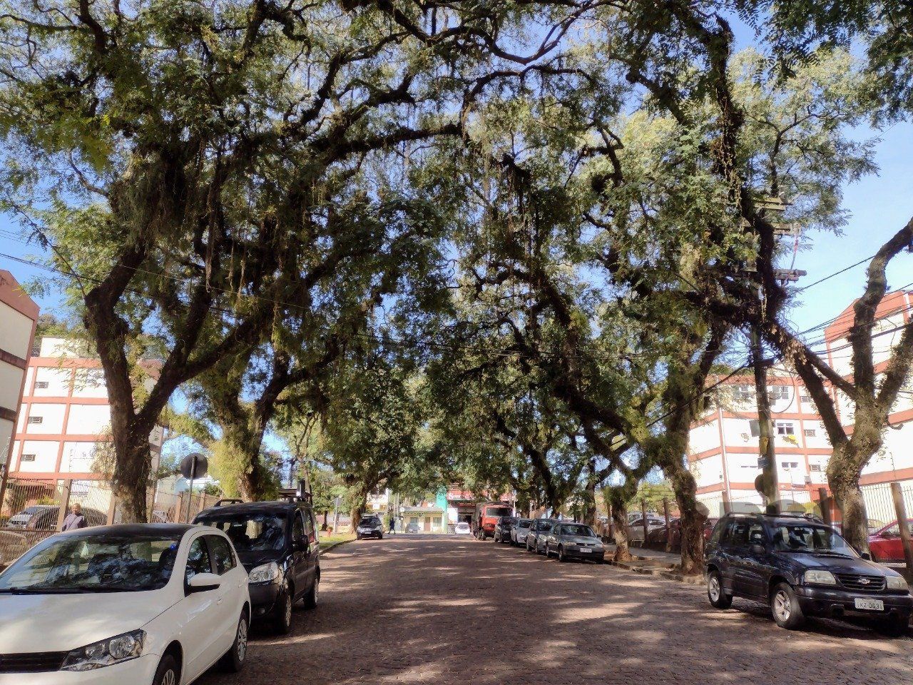 Apartamento à venda com 1 quarto, 36m² - Foto 6