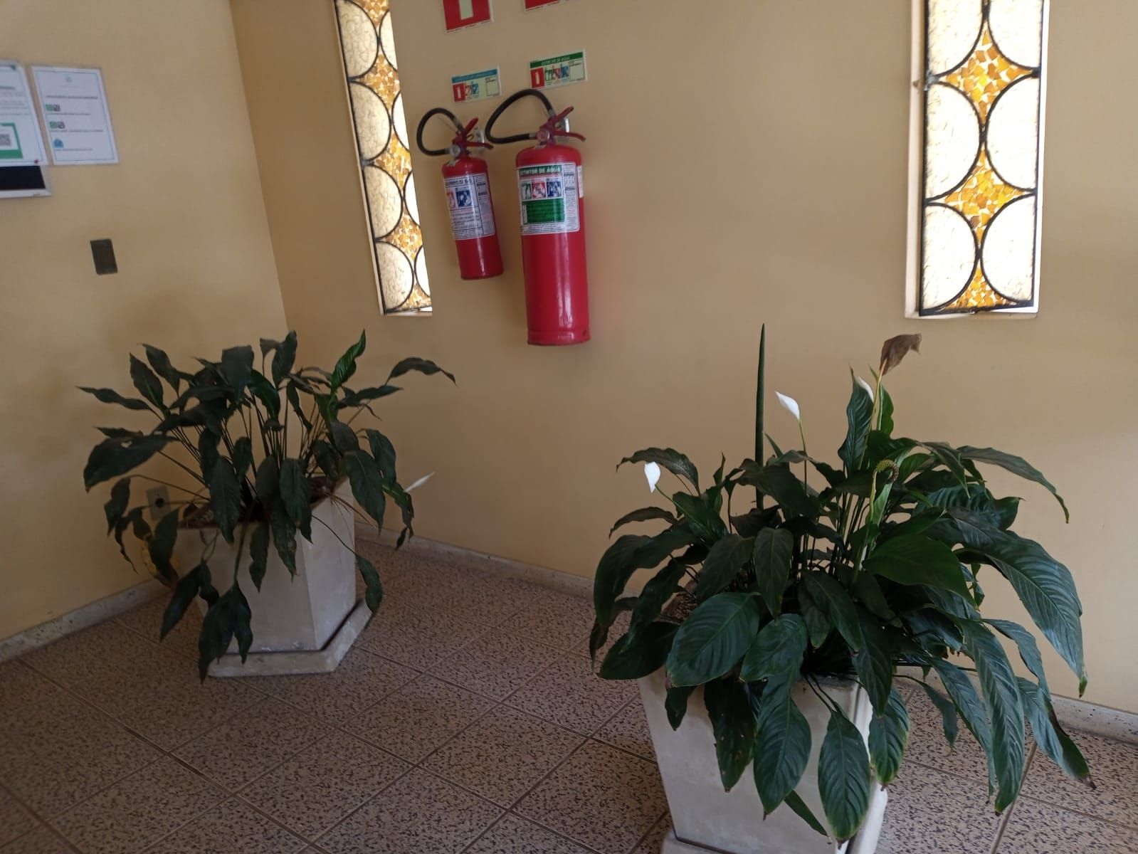 Apartamento, 2 quartos, à venda, Santo Antônio - Porto Alegre — foto 2