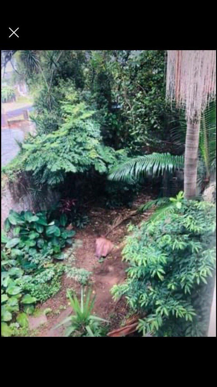 Casa à venda com 4 quartos, 357m² - Foto 19