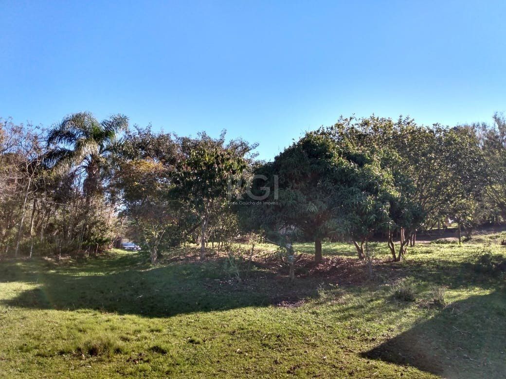 Terreno, 4 hectares - Foto 6