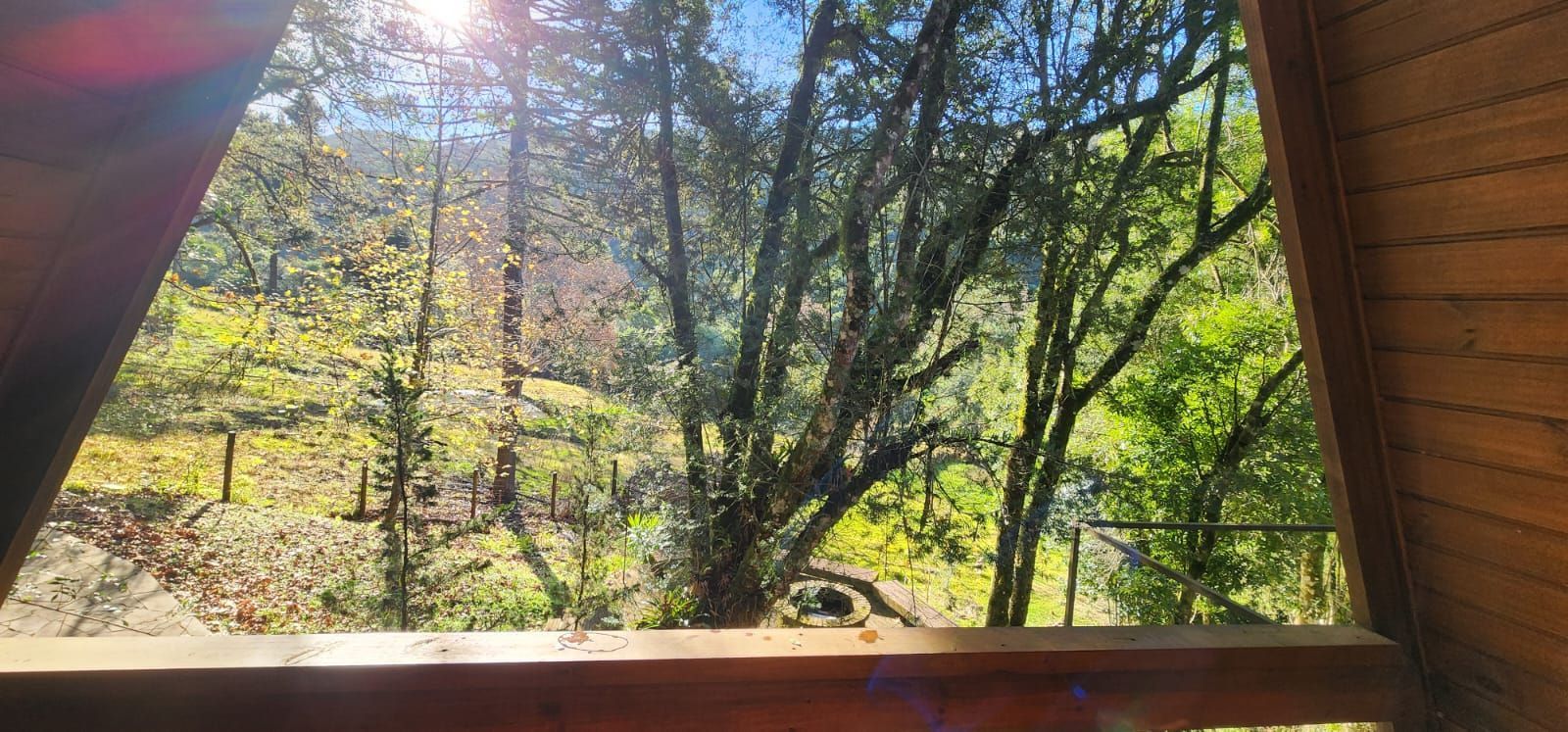 Sítio à venda com 1 quarto, 15000m² - Foto 12