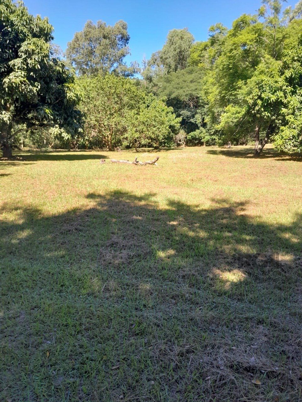 Sítio, 3 quartos, 6 hectares - Foto 29