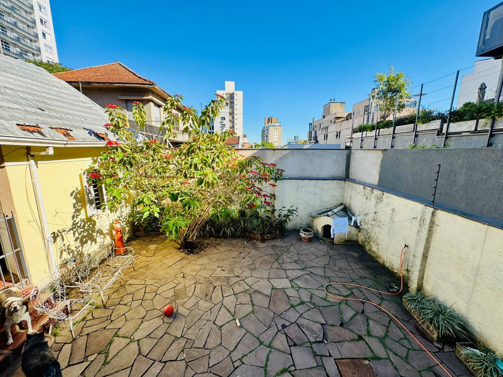 Casa, 4 quartos, 590 m² - Foto 57