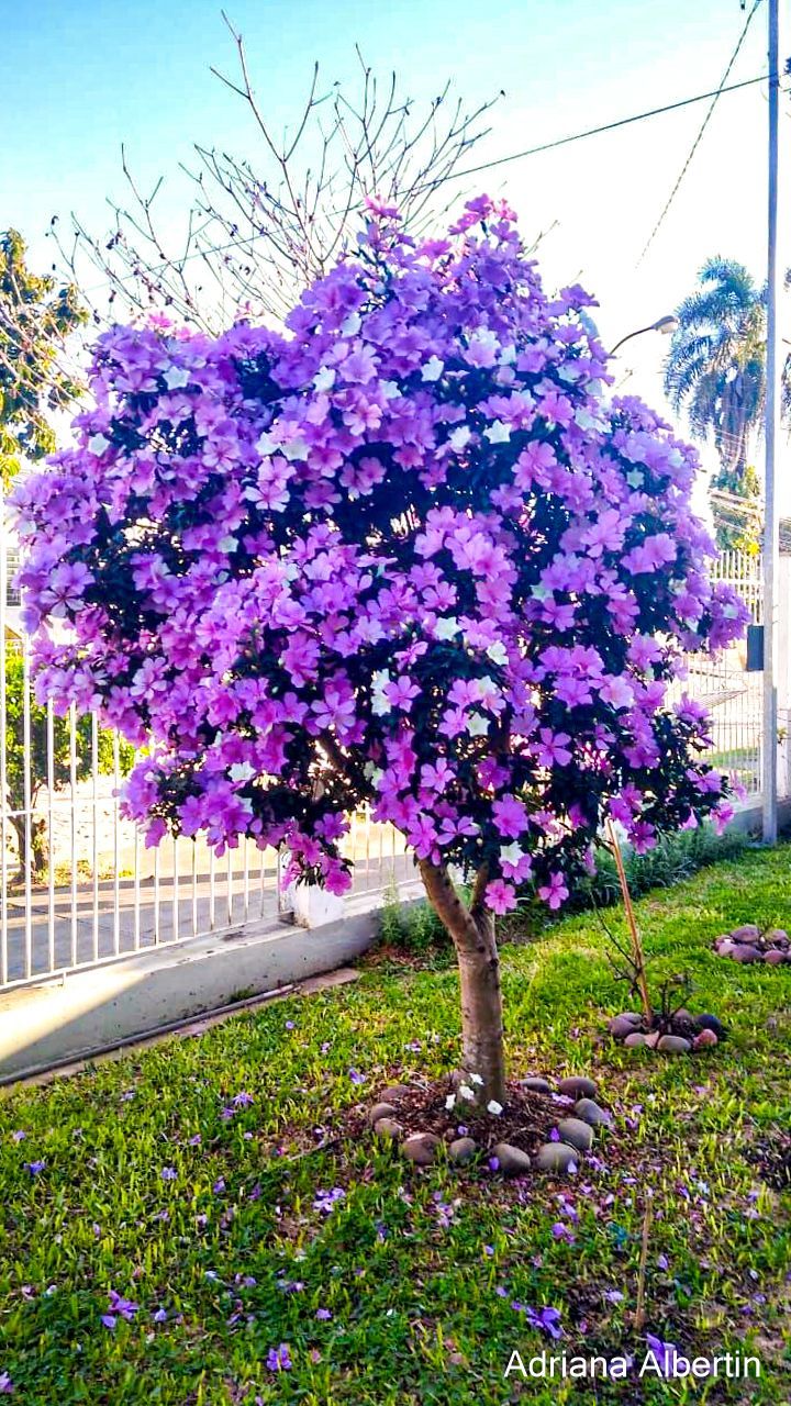 Casa, 2 quartos, 97 m² - Foto 2