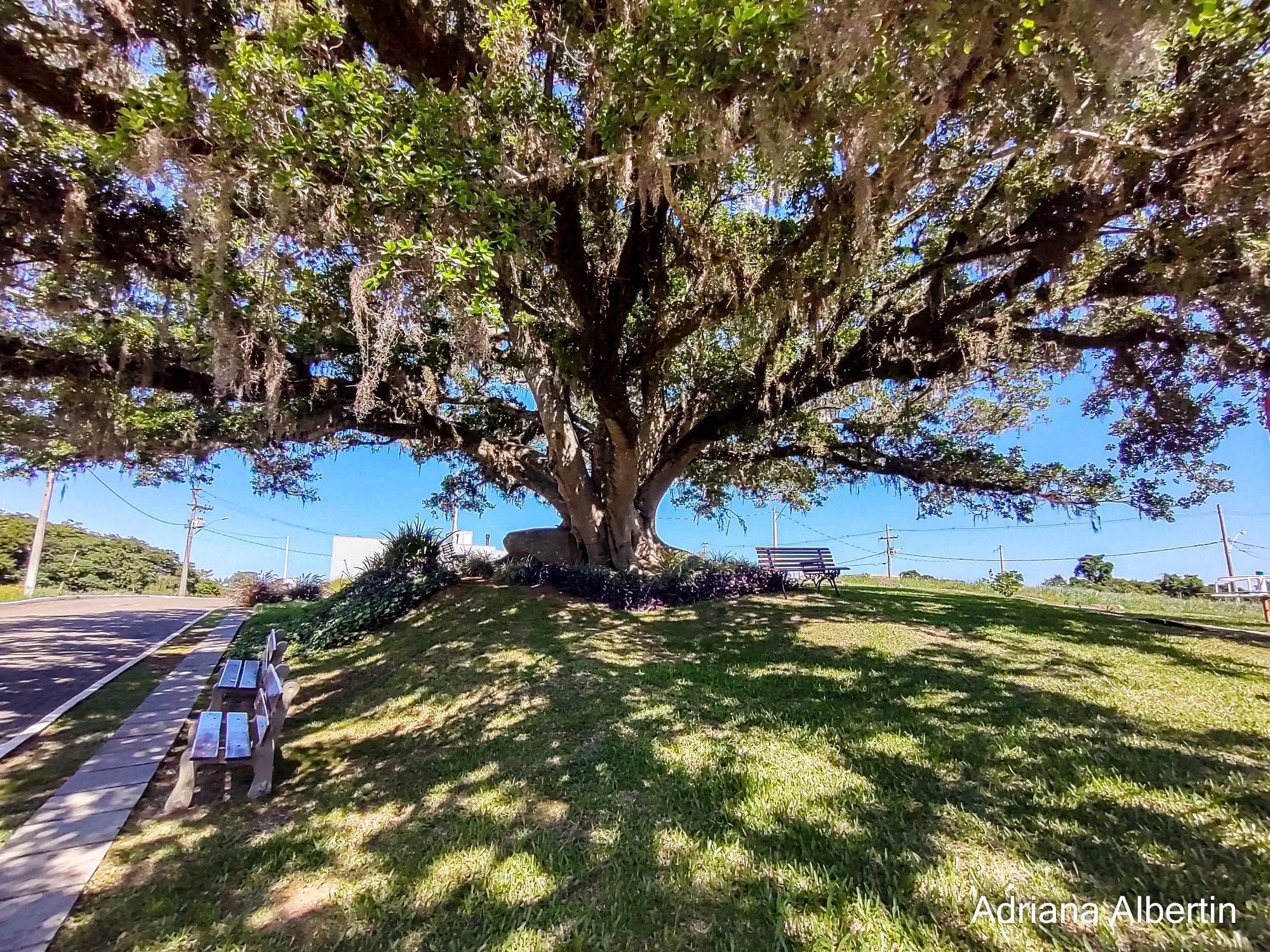 Casa de Condomínio, 3 quartos - Foto 30