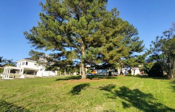 Terreno à venda, 721m² - Foto 6