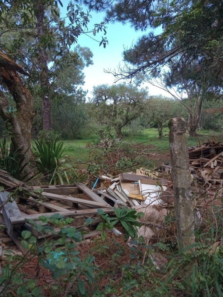 Terreno, 1 hectares - Foto 7