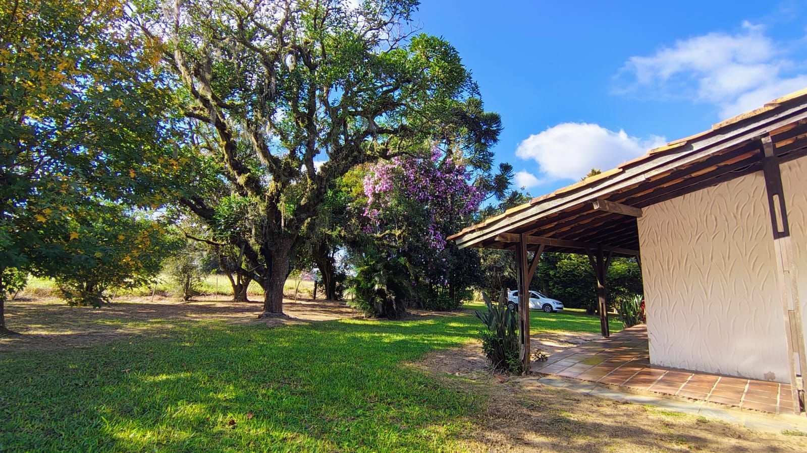 Fazenda à venda com 4 quartos, 255m² - Foto 8