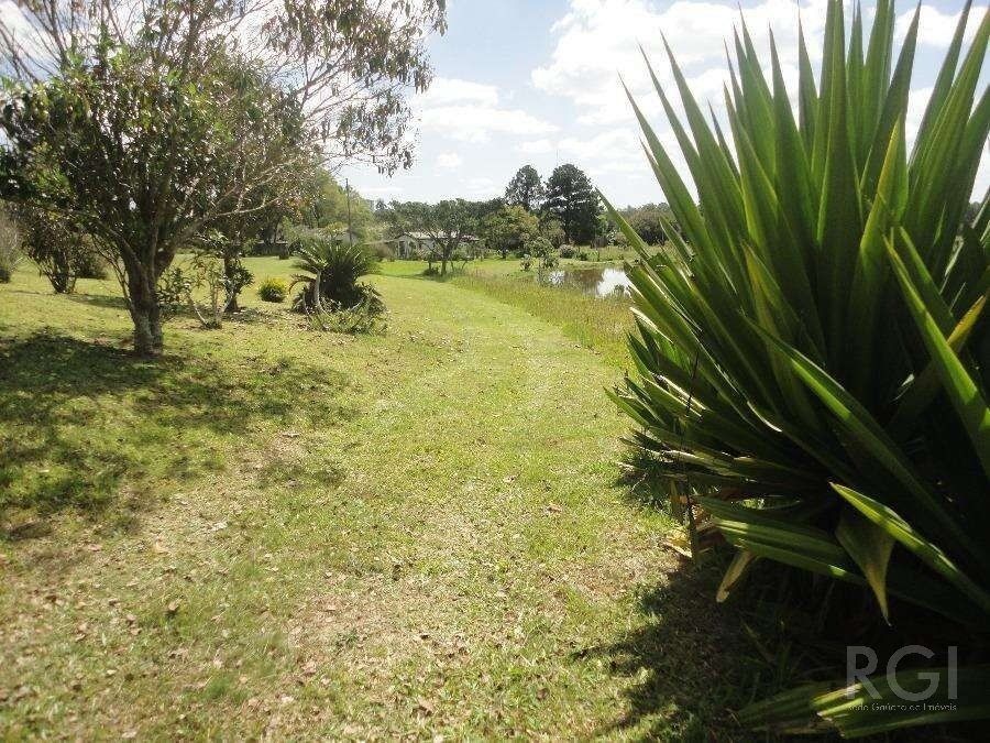 Sítio, 3 quartos, 8 hectares - Foto 13