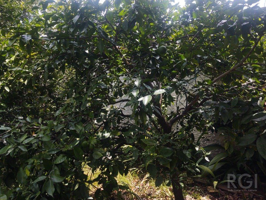 Casa, 2 quartos, 120 m² - Foto 12