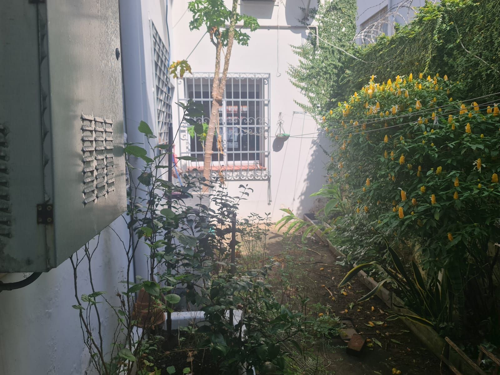 Casa, 3 quartos, 249 m² - Foto 10