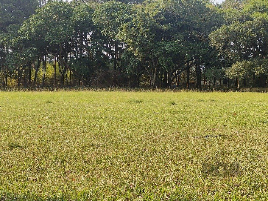 Sítio à venda com 5 quartos, 400m² - Foto 20