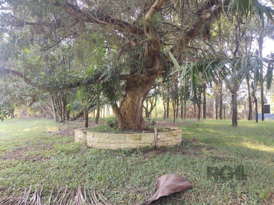 Sítio à venda com 5 quartos, 400m² - Foto 35