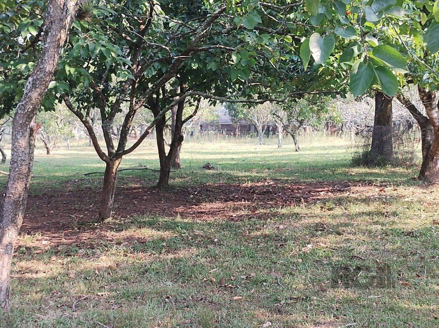 Sítio à venda com 5 quartos, 400m² - Foto 9