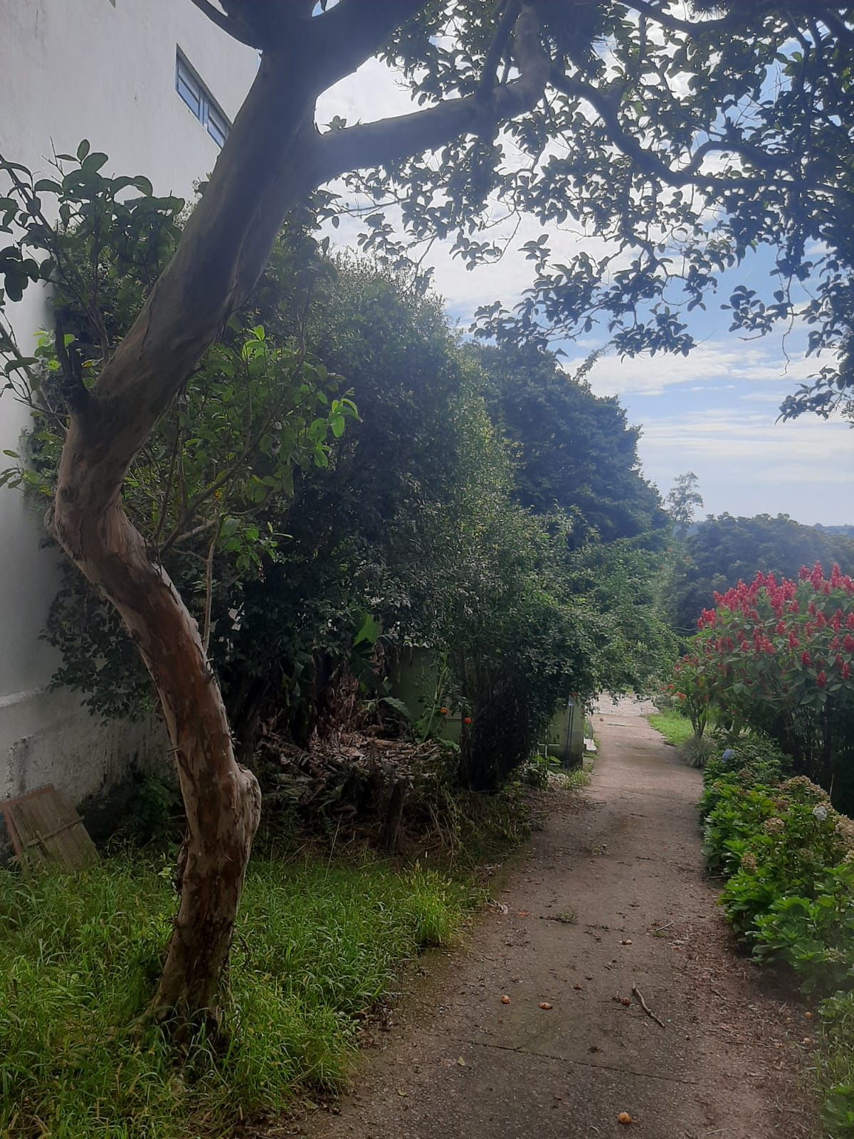 Terreno, 6801 m² - Foto 18