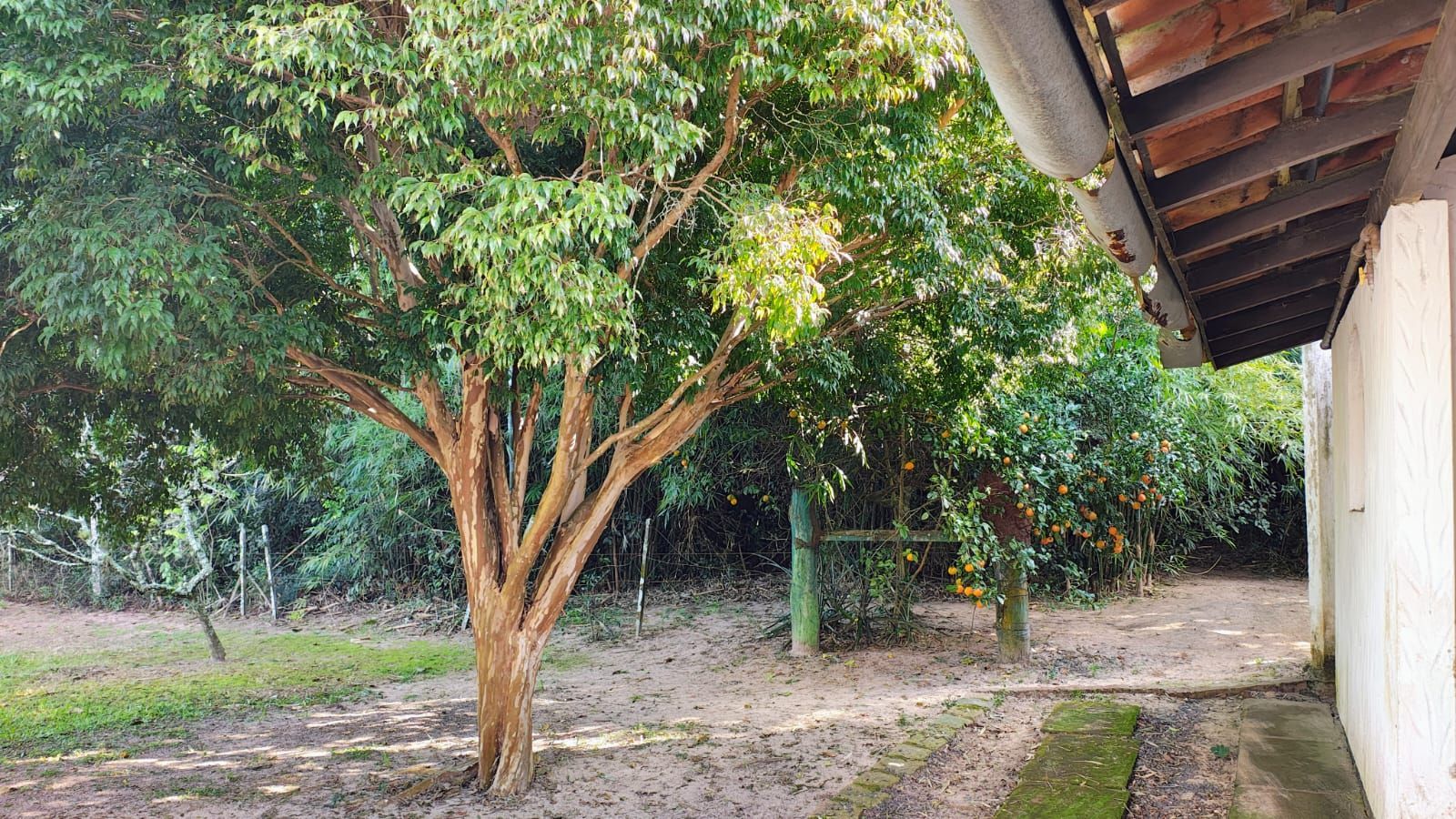 Fazenda à venda com 4 quartos, 255m² - Foto 15