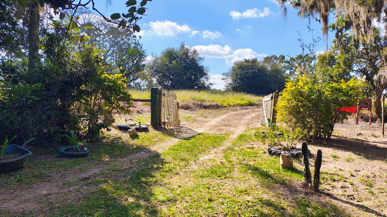 Fazenda à venda com 4 quartos, 255m² - Foto 6