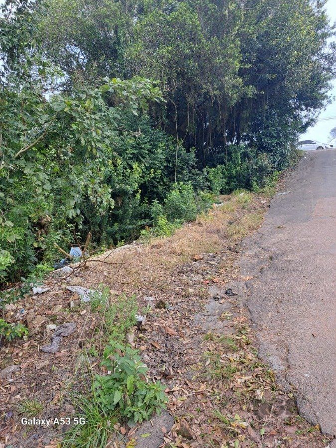 Terreno, 6801 m² - Foto 8