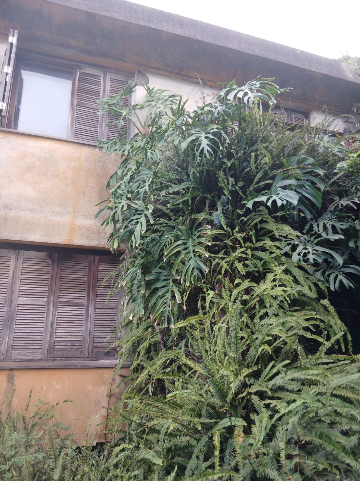 Casa 4 dormitórios no bairro Santa Tereza