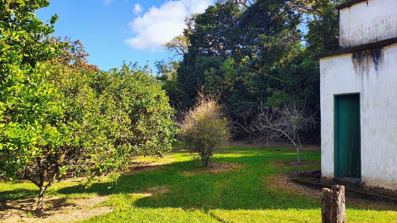 Fazenda à venda com 4 quartos, 255m² - Foto 14