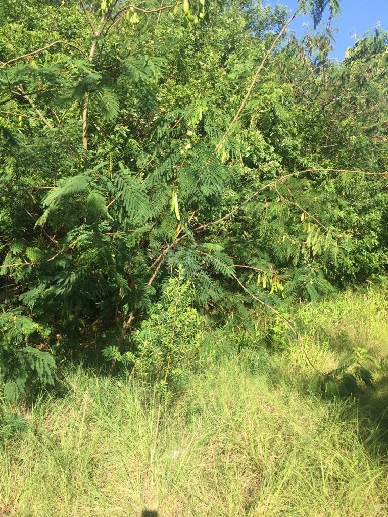 Terreno, 6436 m² - Foto 20