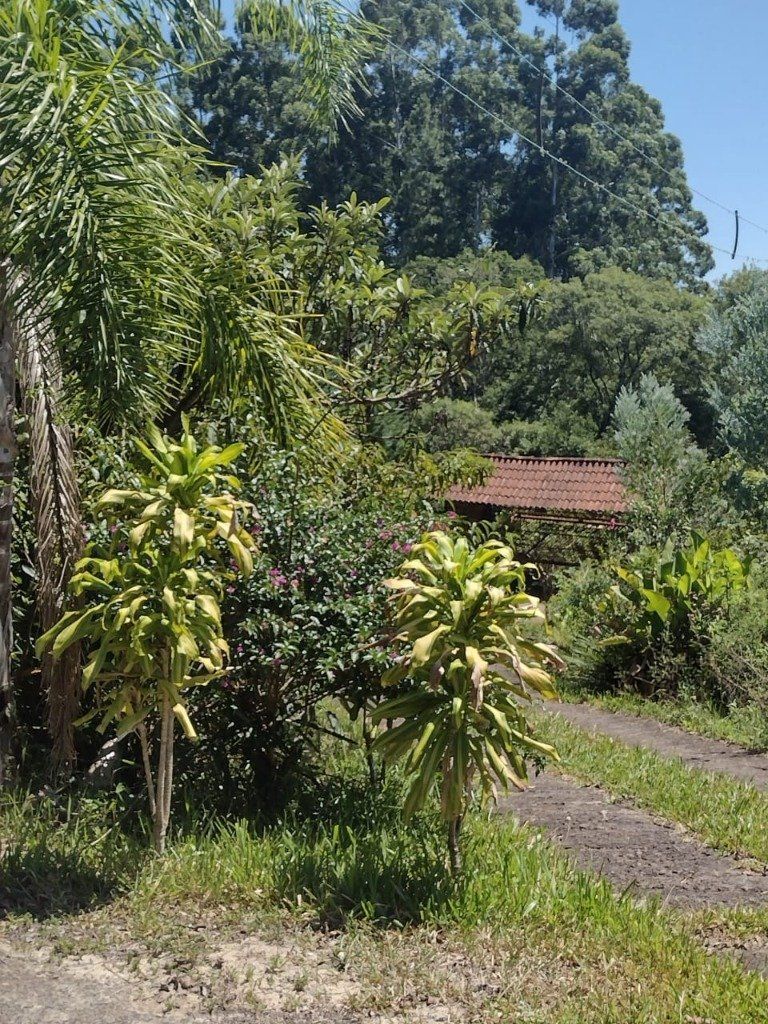 Sítio à venda com 1 quarto, 211m² - Foto 41