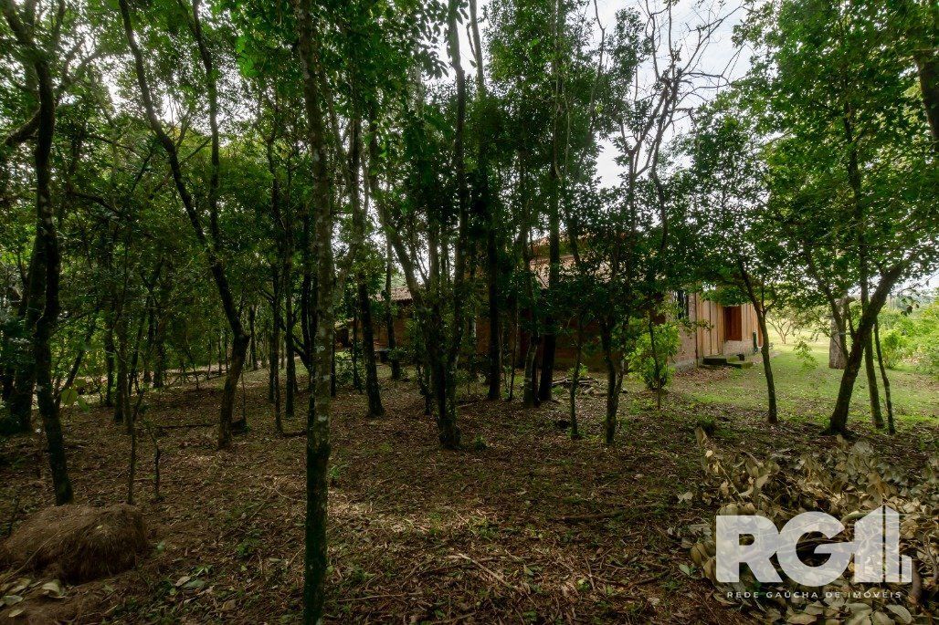 Sítio à venda com 4 quartos, 1m² - Foto 69