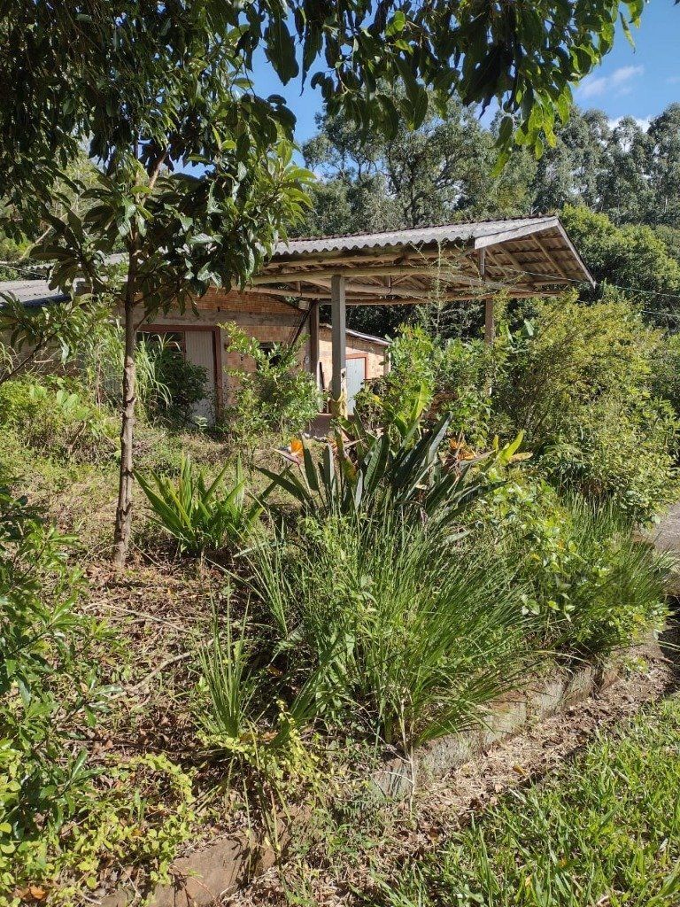 Sítio à venda com 1 quarto, 211m² - Foto 9