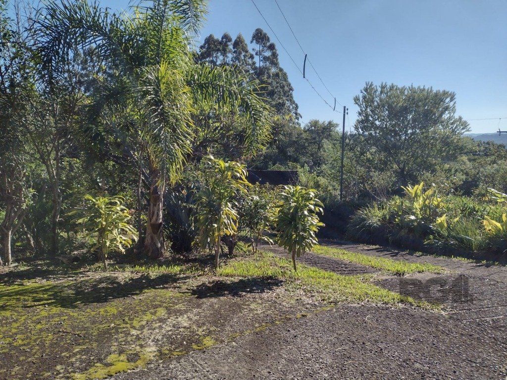 Sítio à venda com 1 quarto, 211m² - Foto 25