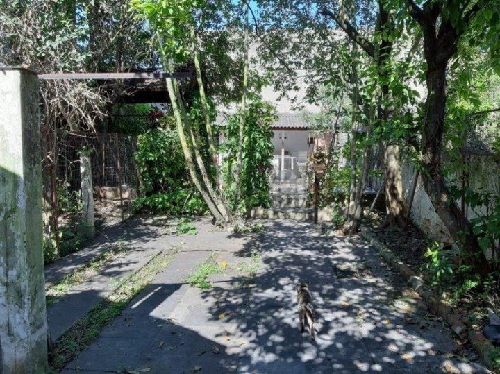 Casa à venda com 3 quartos, 120m² - Foto 17