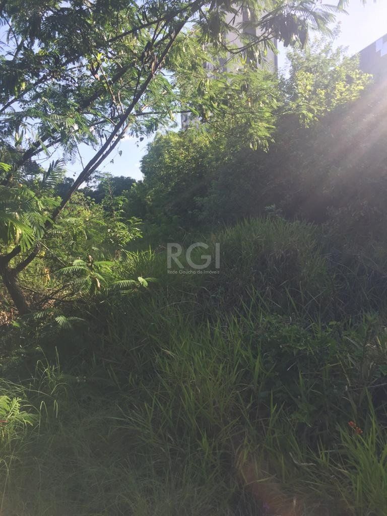 Terreno, 6436 m² - Foto 18