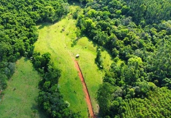 Fazenda à venda com 4 quartos, 22001m² - Foto 8