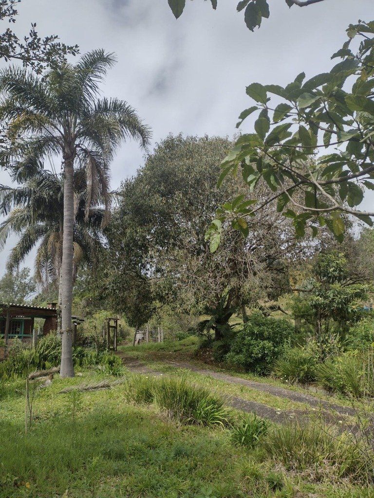 Sítio à venda com 1 quarto, 211m² - Foto 38